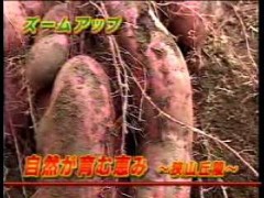 テレビ出演リポート（TV埼玉　2004.10.1放送）