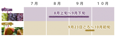 ぶどう狩りの旬　梨狩りの旬