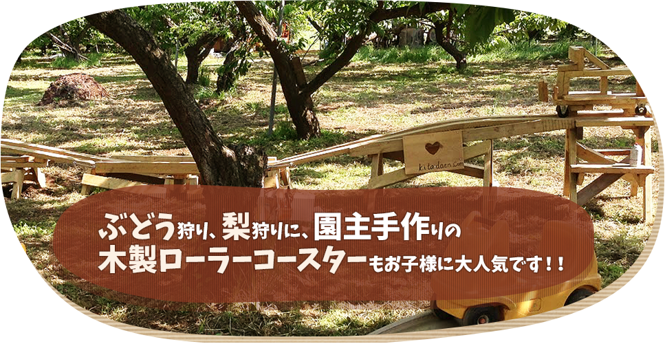ぶどう狩り、梨狩りに、園主手作りの木製ローラーコースターもお子様に人気です